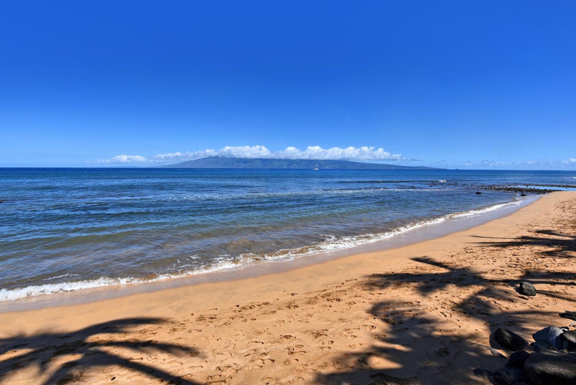 Kaanapali Shores 160 - Sleep Steps Away From The Ocean Kahana Eksteriør bilde