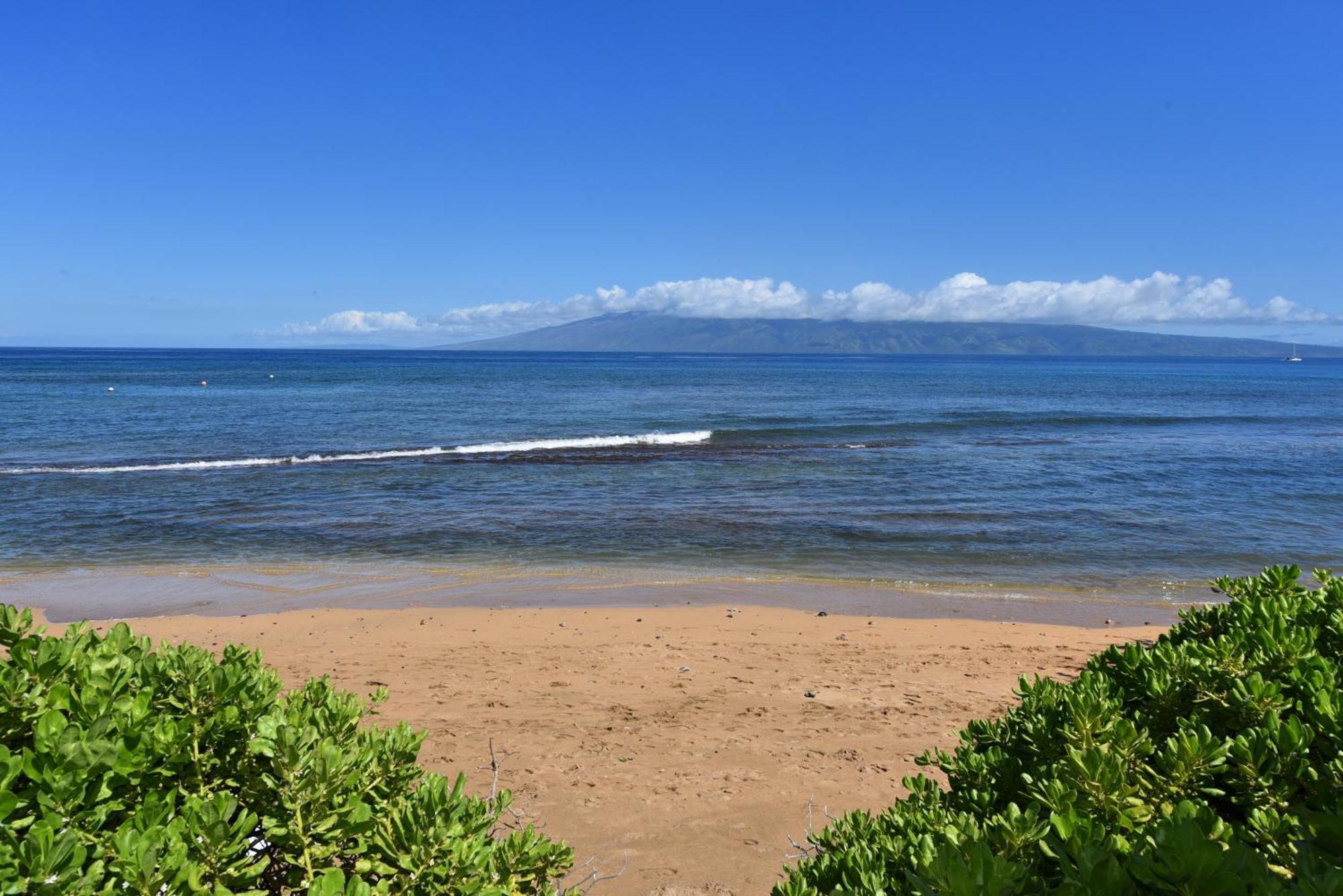 Kaanapali Shores 160 - Sleep Steps Away From The Ocean Kahana Eksteriør bilde